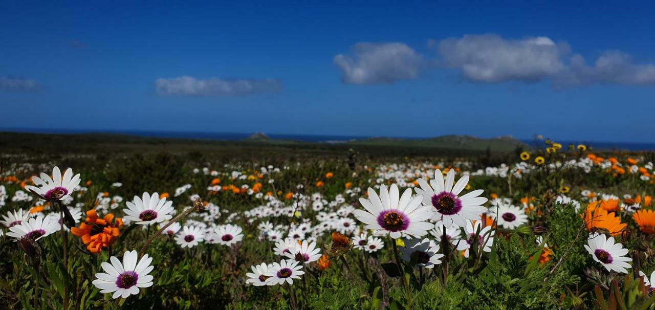 Adam'S Guest House Yzerfontein Exterior photo